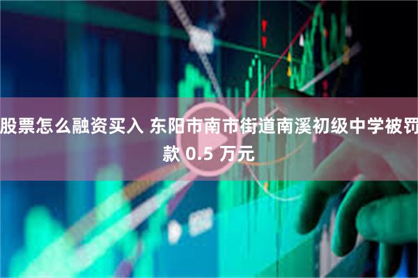 股票怎么融资买入 东阳市南市街道南溪初级中学被罚款 0.5 万元
