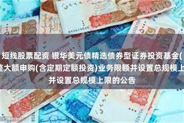 短线股票配资 银华美元债精选债券型证券投资基金(QDII)调整大额申购(含定期定额投资)业务限额并设置总规模上限的公告