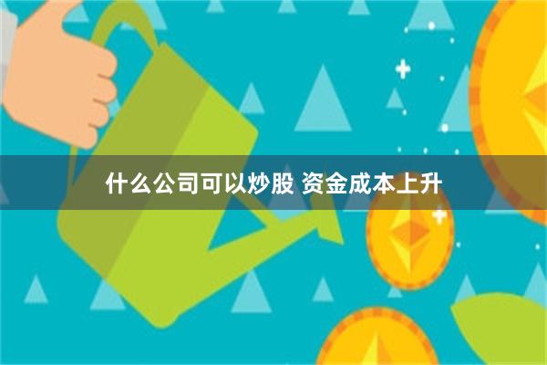 什么公司可以炒股 资金成本上升