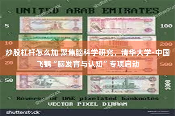 炒股杠杆怎么加 聚焦脑科学研究，清华大学-中国飞鹤“脑发育与认知”专项启动
