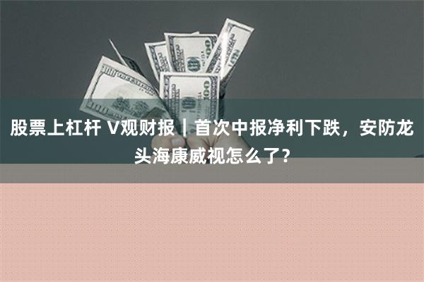 股票上杠杆 V观财报｜首次中报净利下跌，安防龙头海康威视怎么了？