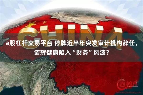 a股杠杆交易平台 停牌近半年突发审计机构辞任，诺辉健康陷入“财务”风波？