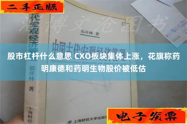 股市杠杆什么意思 CXO板块集体上涨，花旗称药明康德和药明生物股价被低估