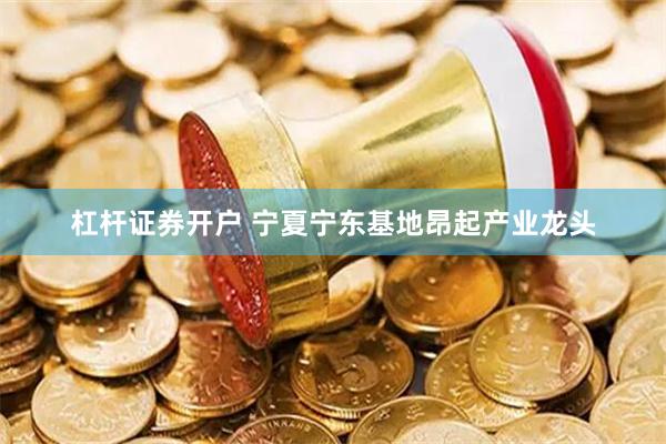 杠杆证券开户 宁夏宁东基地昂起产业龙头
