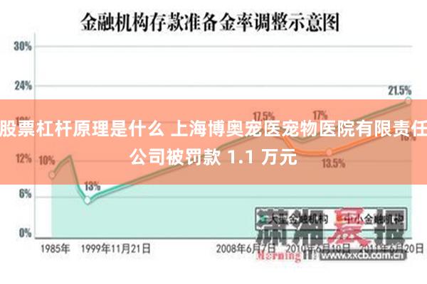 股票杠杆原理是什么 上海博奥宠医宠物医院有限责任公司被罚款 1.1 万元