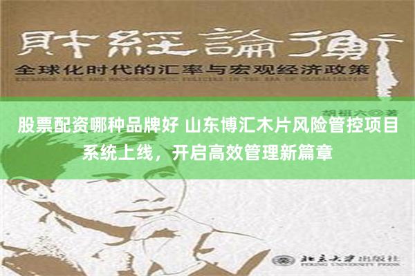 股票配资哪种品牌好 山东博汇木片风险管控项目系统上线，开启高效管理新篇章