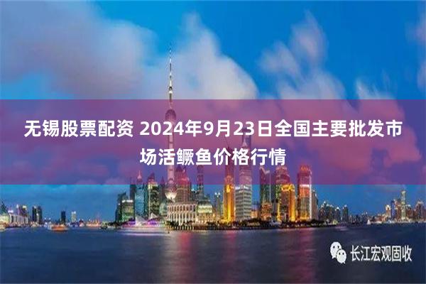无锡股票配资 2024年9月23日全国主要批发市场活鳜鱼价格行情