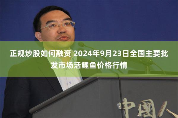 正规炒股如何融资 2024年9月23日全国主要批发市场活鲤鱼价格行情