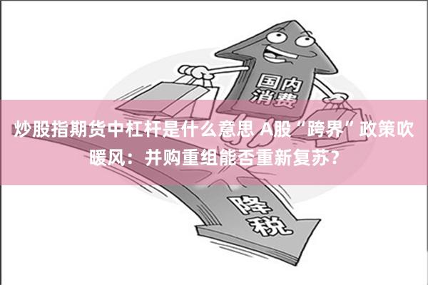 炒股指期货中杠杆是什么意思 A股“跨界”政策吹暖风：并购重组能否重新复苏？
