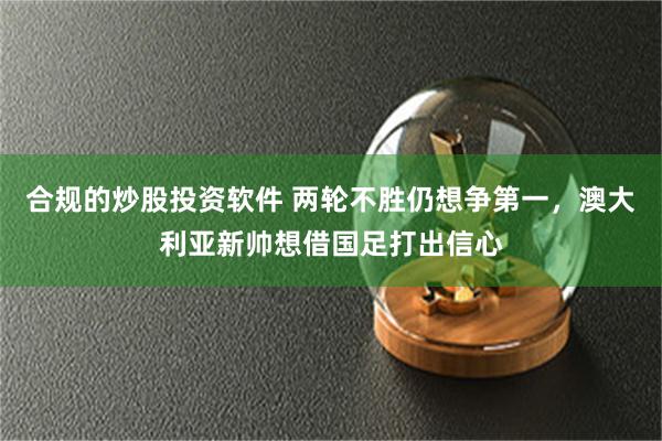 合规的炒股投资软件 两轮不胜仍想争第一，澳大利亚新帅想借国足打出信心