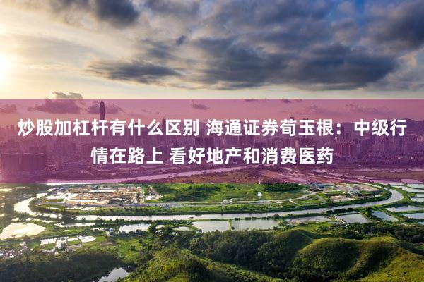炒股加杠杆有什么区别 海通证券荀玉根：中级行情在路上 看好地产和消费医药