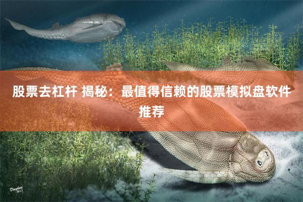 股票去杠杆 揭秘：最值得信赖的股票模拟盘软件推荐