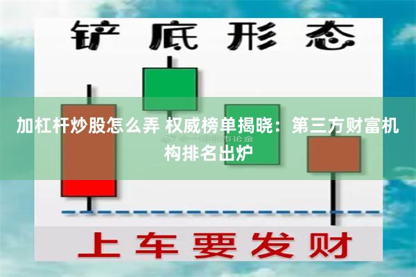 加杠杆炒股怎么弄 权威榜单揭晓：第三方财富机构排名出炉