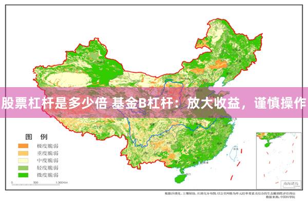 股票杠杆是多少倍 基金B杠杆：放大收益，谨慎操作