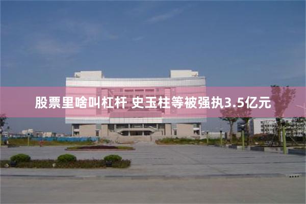 股票里啥叫杠杆 史玉柱等被强执3.5亿元