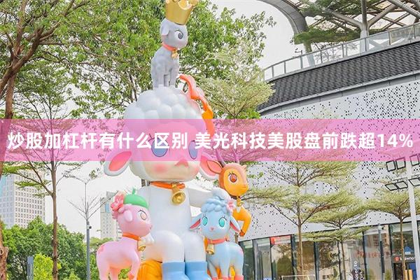 炒股加杠杆有什么区别 美光科技美股盘前跌超14%