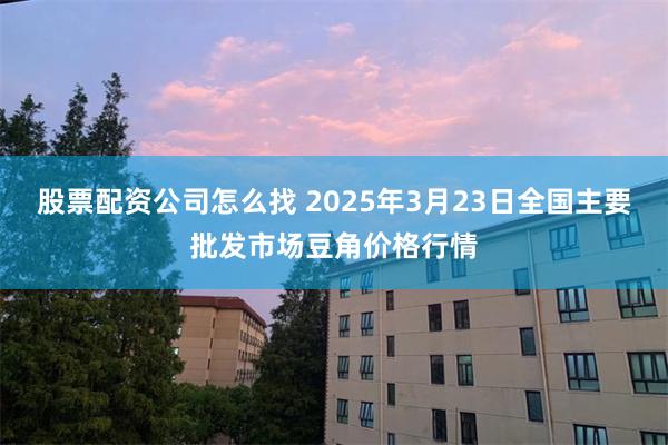 股票配资公司怎么找 2025年3月23日全国主要批发市场豆角价格行情