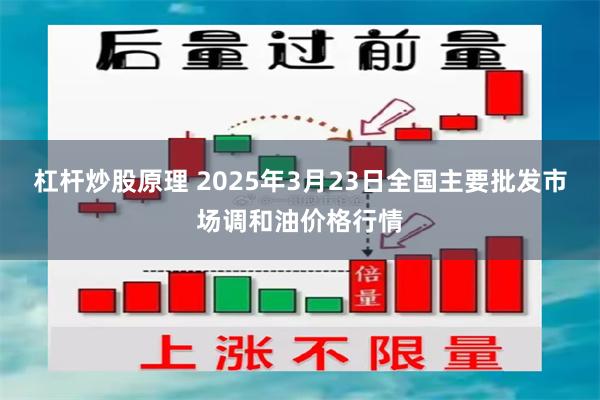 杠杆炒股原理 2025年3月23日全国主要批发市场调和油价格行情