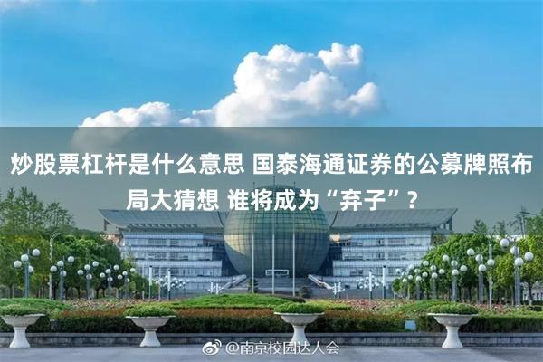 炒股票杠杆是什么意思 国泰海通证券的公募牌照布局大猜想 谁将成为“弃子”？