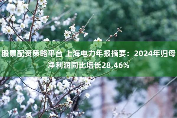 股票配资策略平台 上海电力年报摘要：2024年归母净利润同比增长28.46%