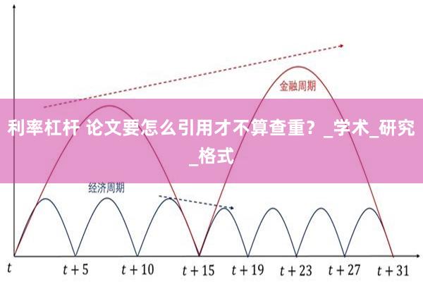 利率杠杆 论文要怎么引用才不算查重？_学术_研究_格式