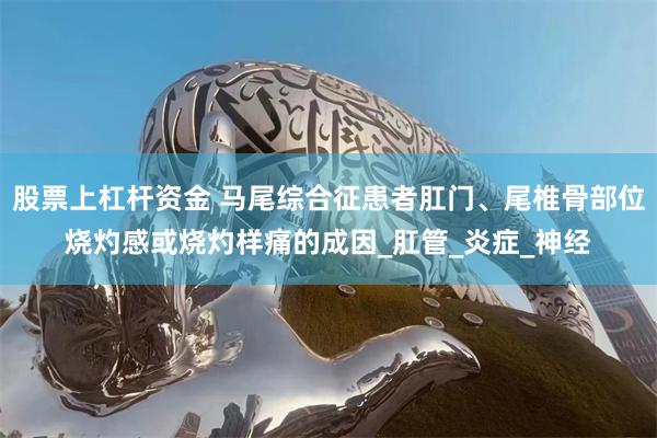 股票上杠杆资金 马尾综合征患者肛门、尾椎骨部位烧灼感或烧灼样痛的成因_肛管_炎症_神经