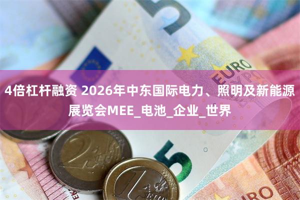 4倍杠杆融资 2026年中东国际电力、照明及新能源展览会MEE_电池_企业_世界