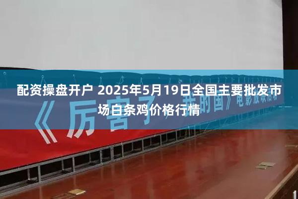 配资操盘开户 2025年5月19日全国主要批发市场白条鸡价格行情