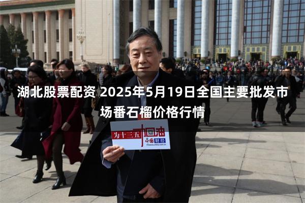 湖北股票配资 2025年5月19日全国主要批发市场番石榴价格行情