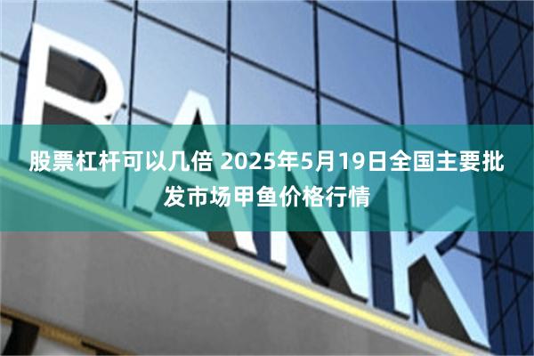 股票杠杆可以几倍 2025年5月19日全国主要批发市场甲鱼价格行情