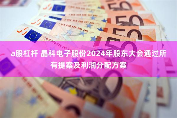 a股杠杆 晶科电子股份2024年股东大会通过所有提案及利润分配方案