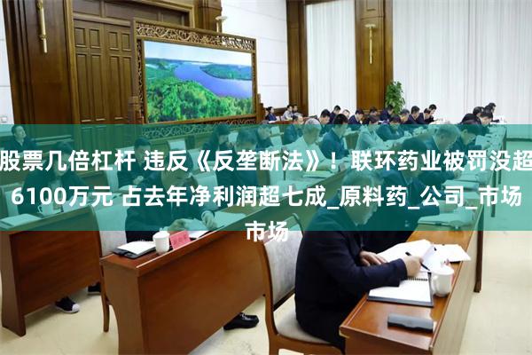股票几倍杠杆 违反《反垄断法》！联环药业被罚没超6100万元 占去年净利润超七成_原料药_公司_市场