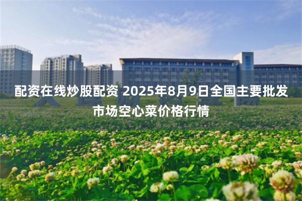 配资在线炒股配资 2025年8月9日全国主要批发市场空心菜价格行情