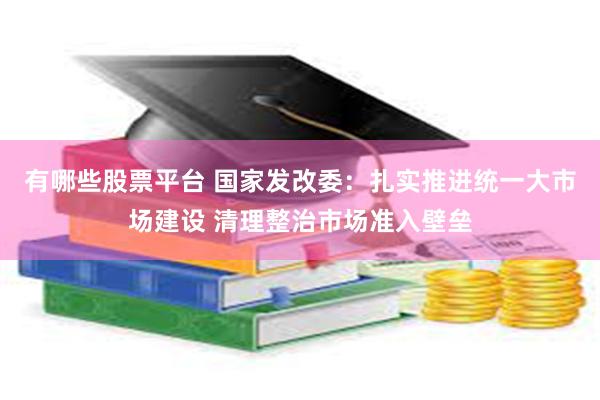 有哪些股票平台 国家发改委：扎实推进统一大市场建设 清理整治市场准入壁垒