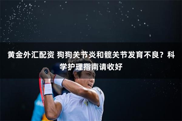 黄金外汇配资 狗狗关节炎和髋关节发育不良？科学护理指南请收好