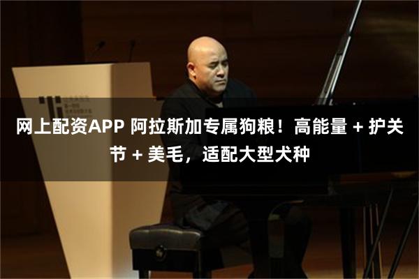 网上配资APP 阿拉斯加专属狗粮！高能量 + 护关节 + 美毛，适配大型犬种